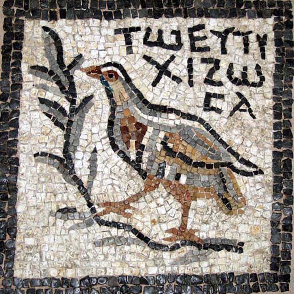 Εικ. 5. Τμήμα ψηφιδωτού δαπέδου