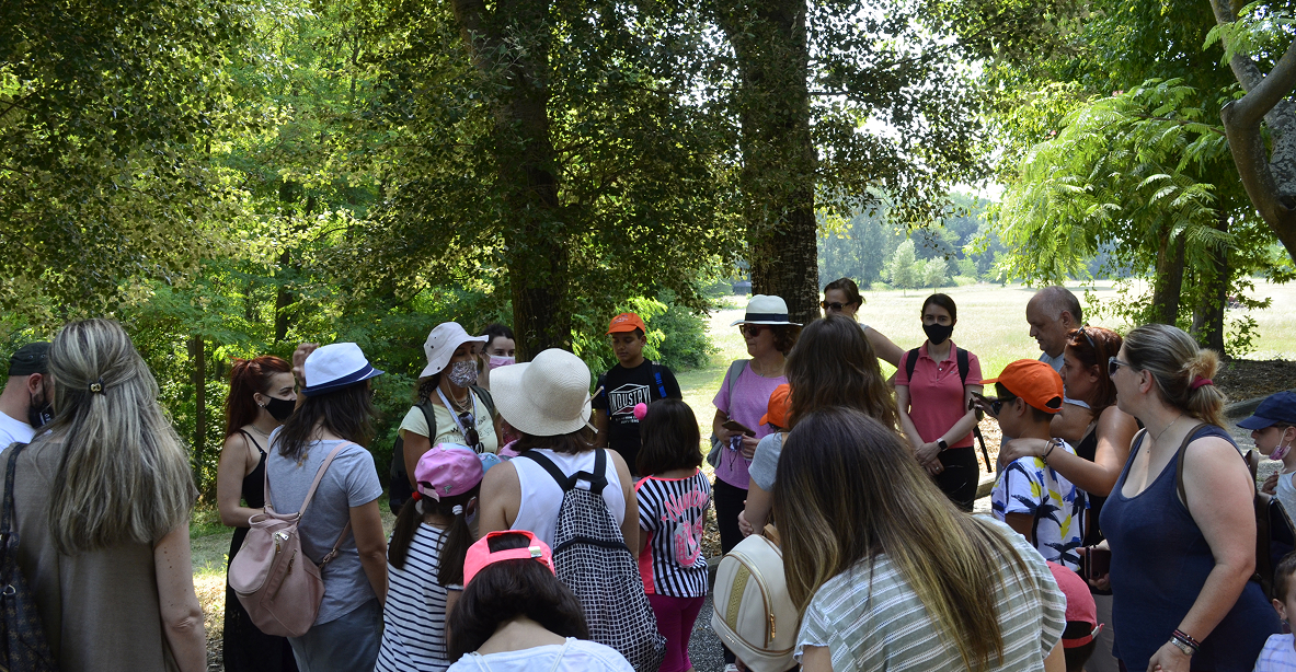 02 dion mousio 170 1