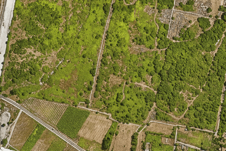 1B65EA40-A5A2-4CCC-8790-0F261ADFD433