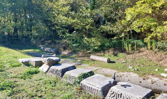 τομέας επισκοπικής βασιλικής